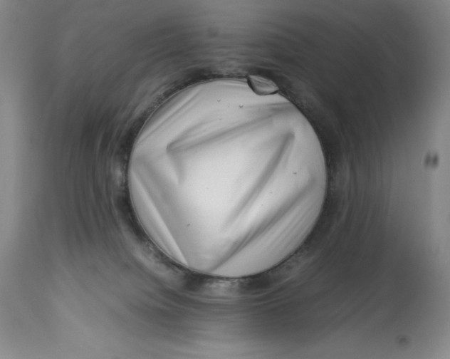 X0000113990084200910231739