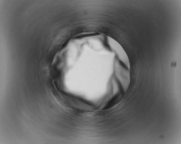 X0000113990086200910231739