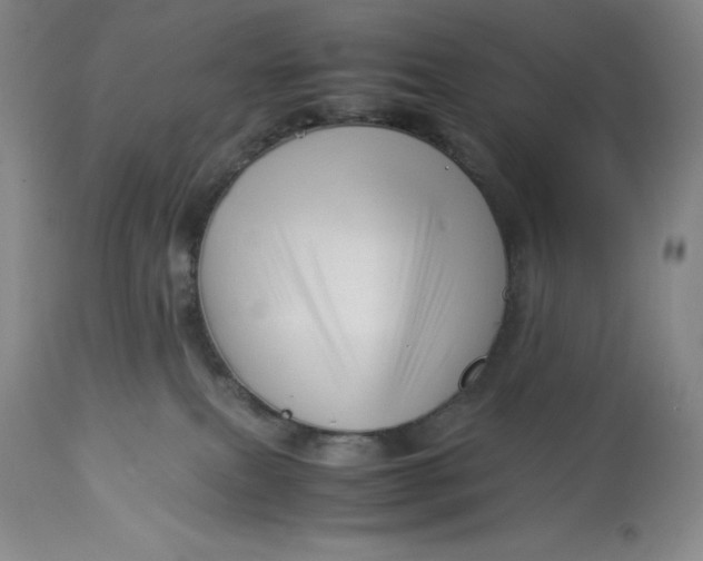 X0000113990087200910231739