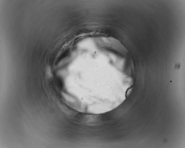 X0000113990089200910231739