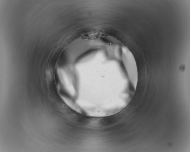 X0000113990090200910231739