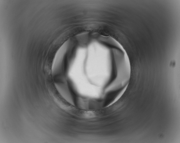 X0000113990091200910231739