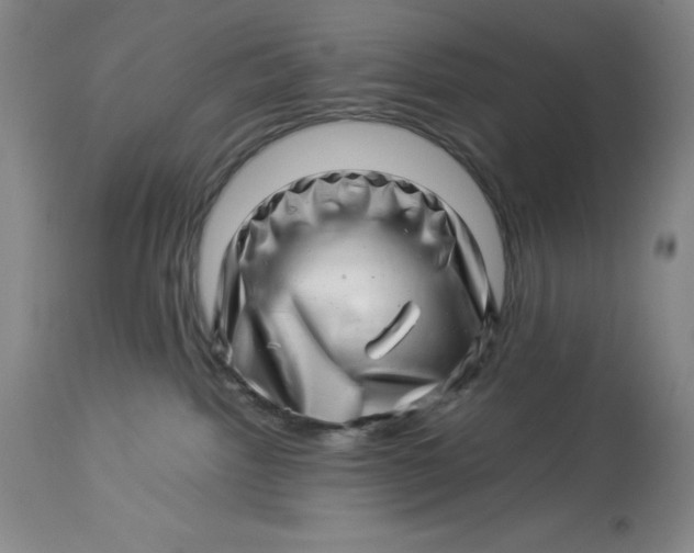 X0000113990092200910231739