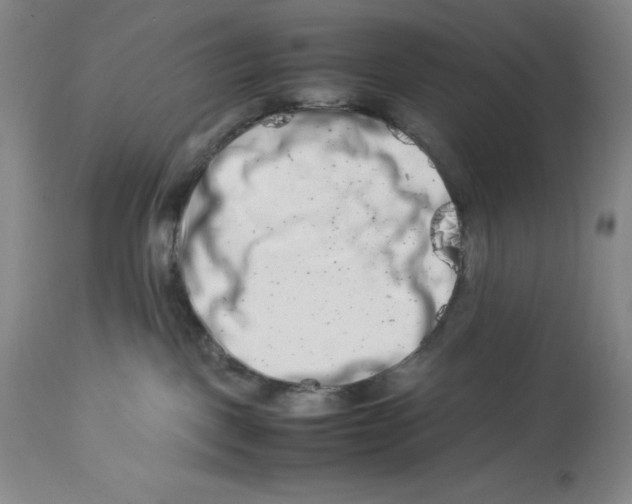 X0000113990093200910231739