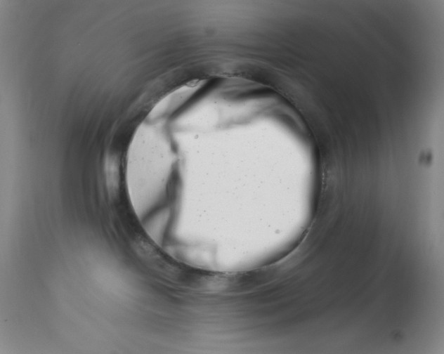 X0000113990094200910231739