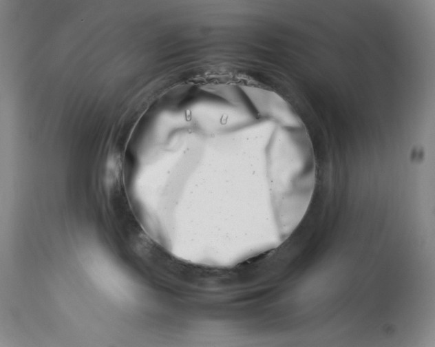 X0000113990095200910231739