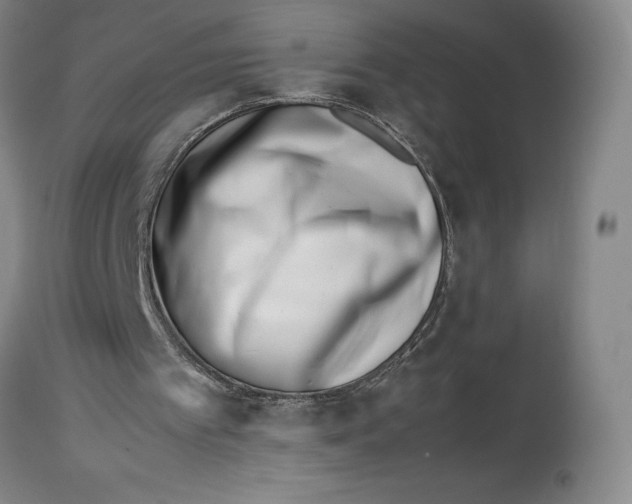 X0000113990097200910231738