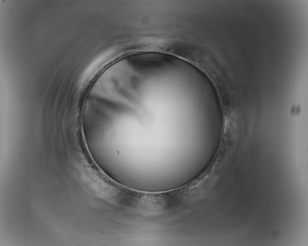 X0000113990101200910231738