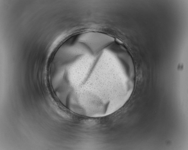 X0000113990102200910231738