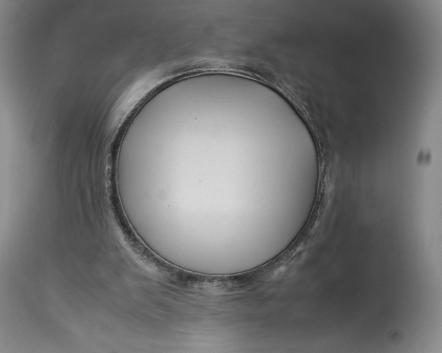 X0000113990103200910231738