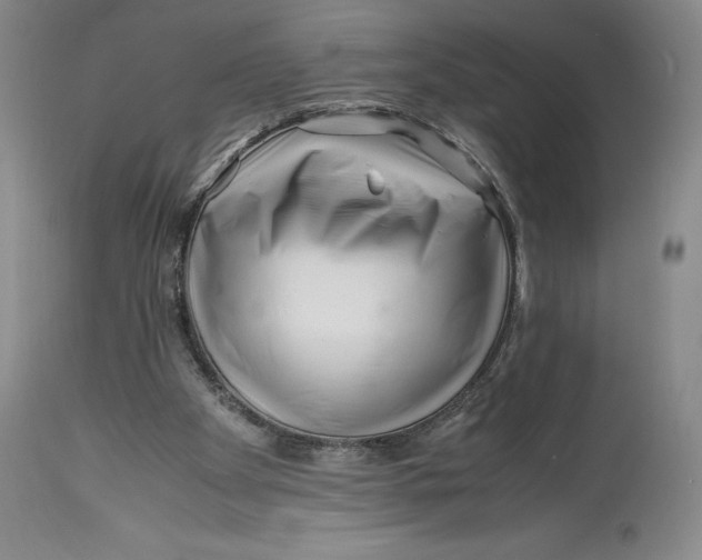 X0000113990105200910231738