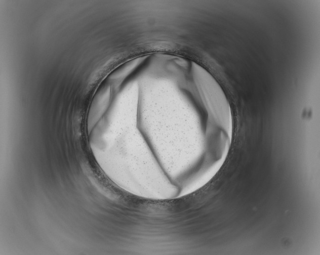 X0000113990106200910231738