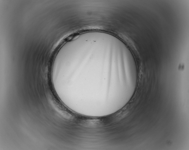 X0000113990108200910231738