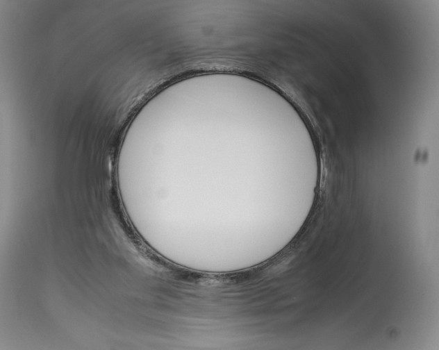 X0000113990109200910231738