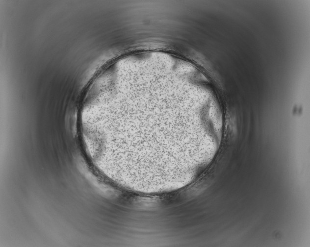 X0000113990110200910231738