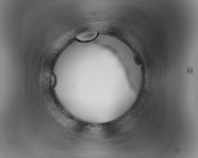 X0000113990113200910231738