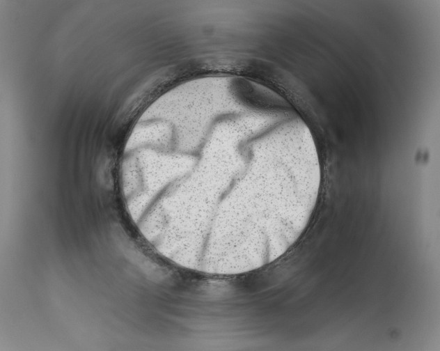 X0000113990114200910231738