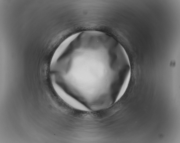 X0000113990115200910231738