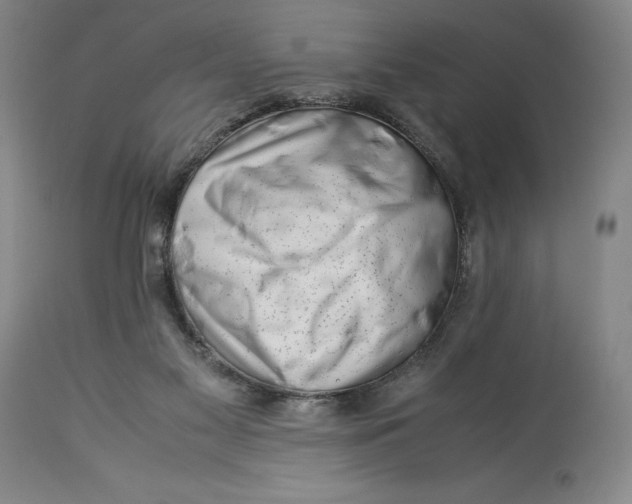 X0000113990117200910231738