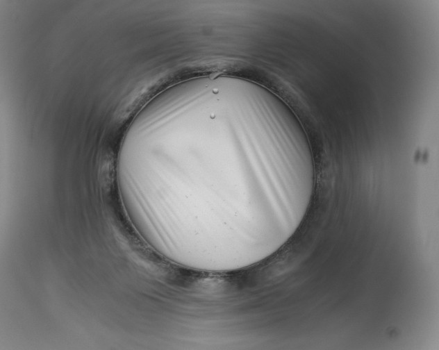 X0000113990119200910231738