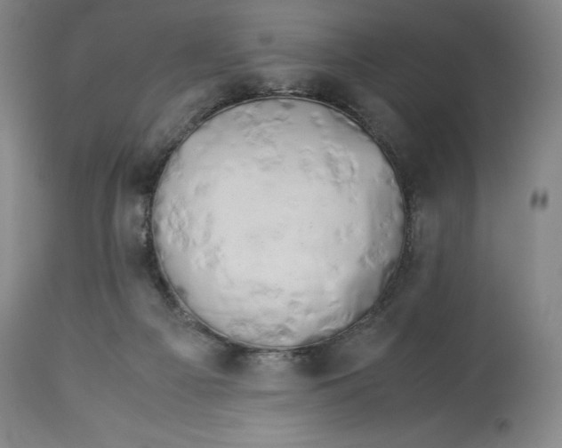 X0000113990121200910231738