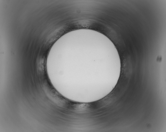 X0000113990122200910231738