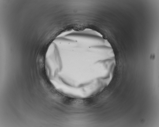 X0000113990123200910231738