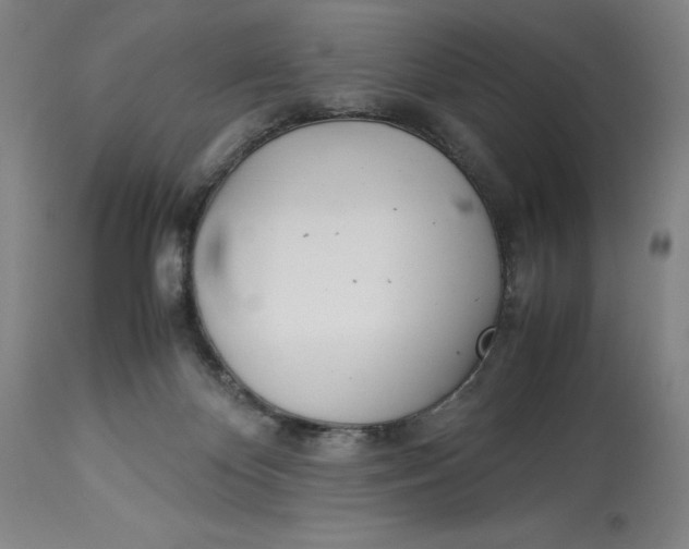 X0000113990124200910231738