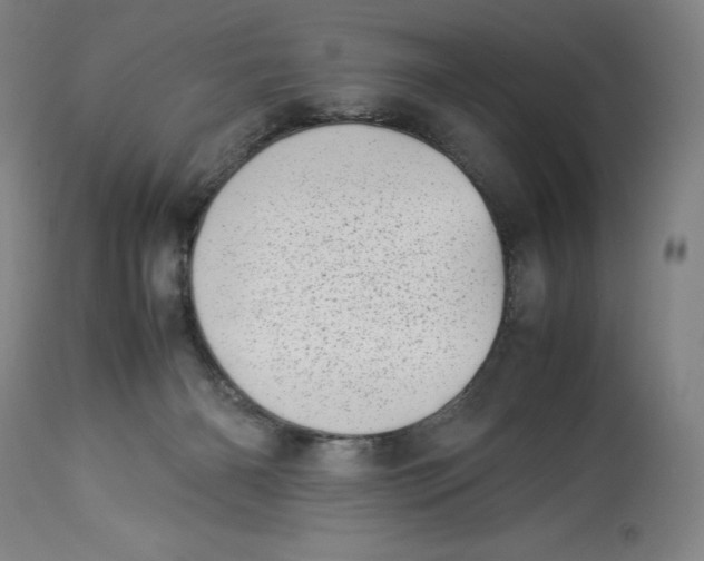 X0000113990126200910231738