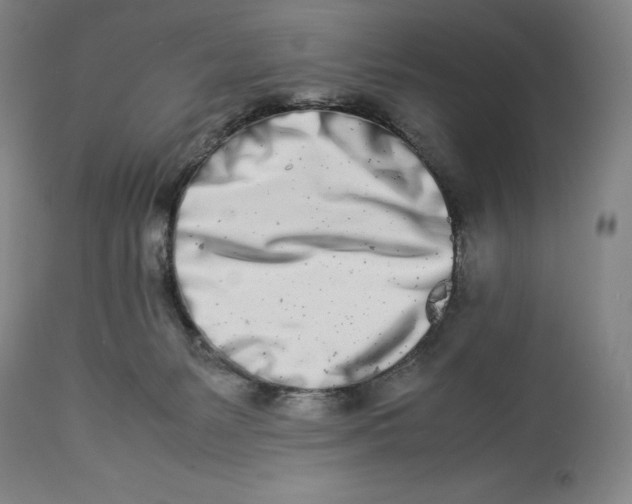 X0000113990127200910231738