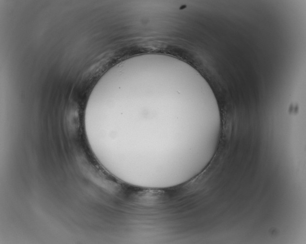 X0000113990128200910231738