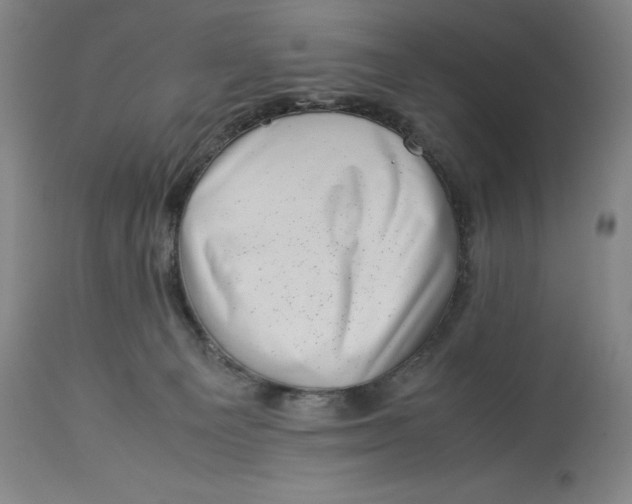 X0000113990129200910231738