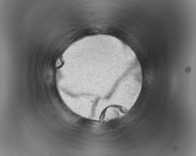 X0000113990130200910231738