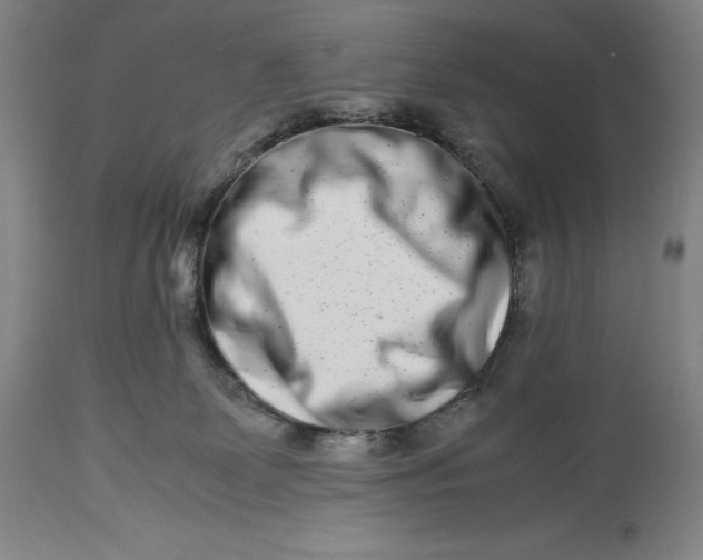 X0000113990131200910231738