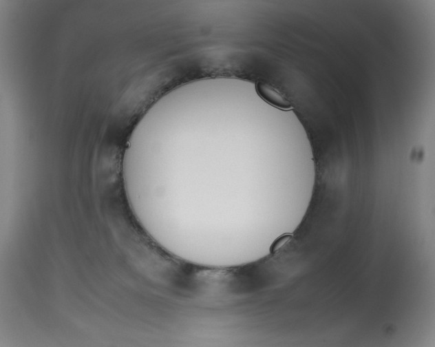 X0000113990133200910231738