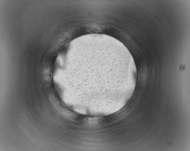 X0000113990134200910231738