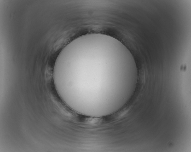 X0000113990135200910231738