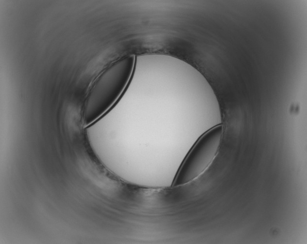 X0000113990136200910231738