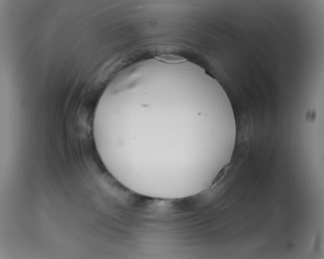 X0000113990140200910231738