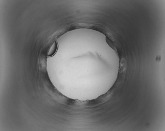 X0000113990143200910231738