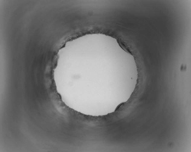 X0000113990144200910231738