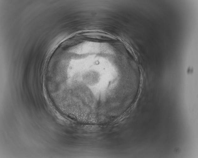 X0000113990145200910231737