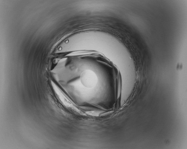 X0000113990146200910231737