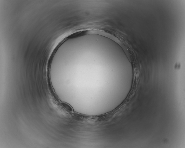 X0000113990148200910231737