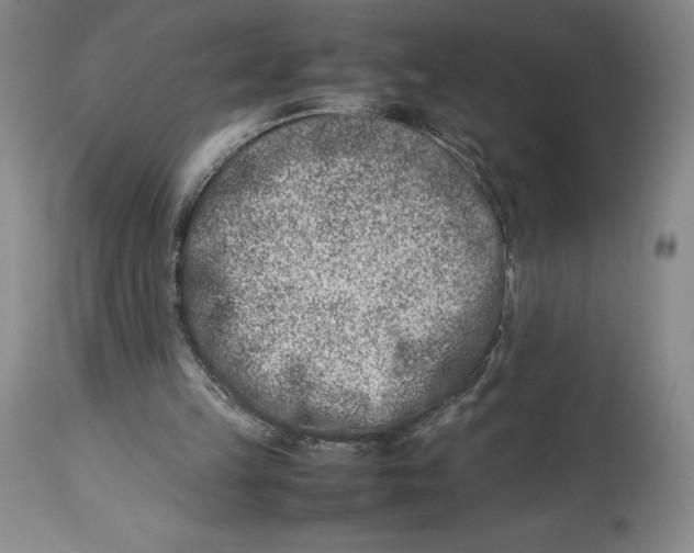 X0000113990149200910231737