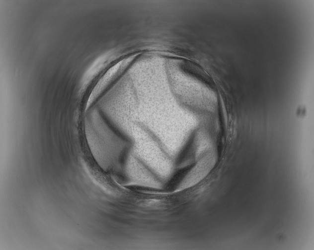 X0000113990151200910231737