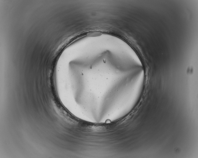 X0000113990154200910231737