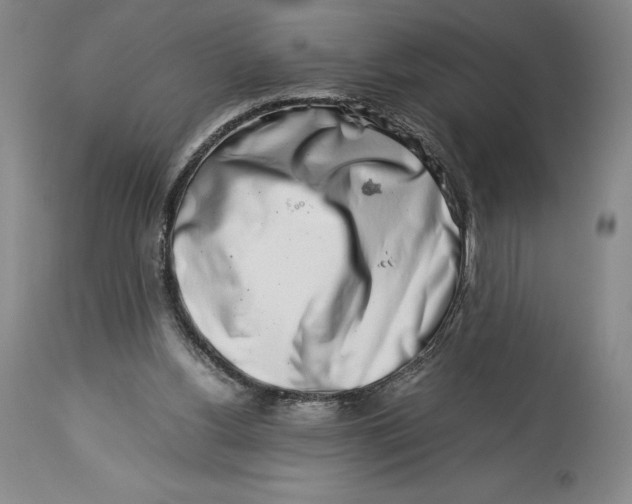 X0000113990156200910231737