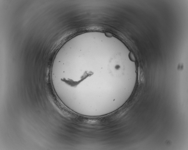 X0000113990157200910231737