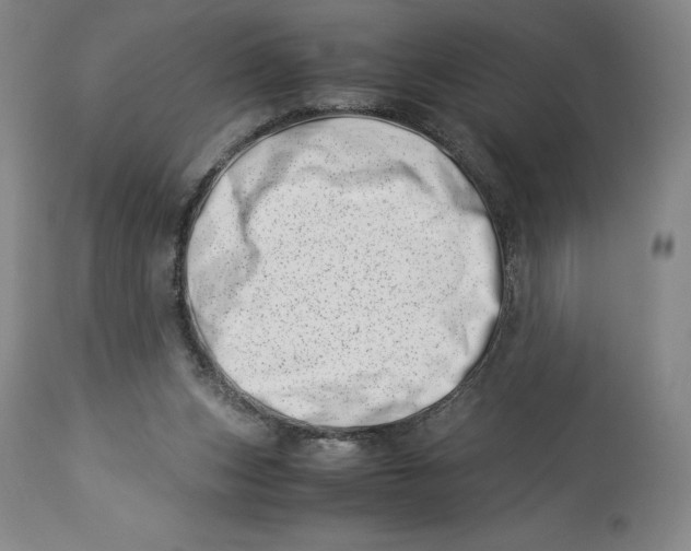 X0000113990159200910231737